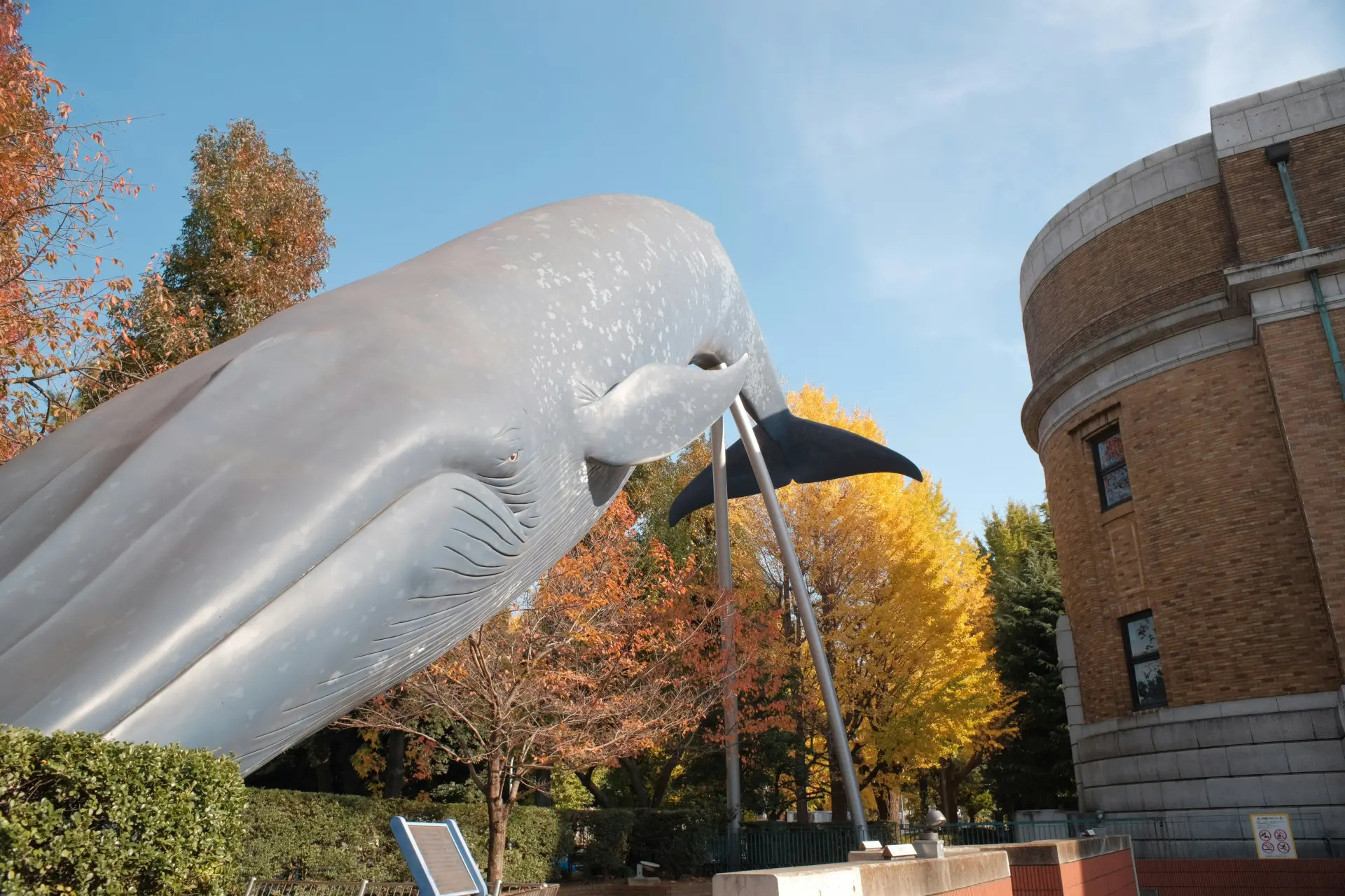 National Museum of Nature and Science