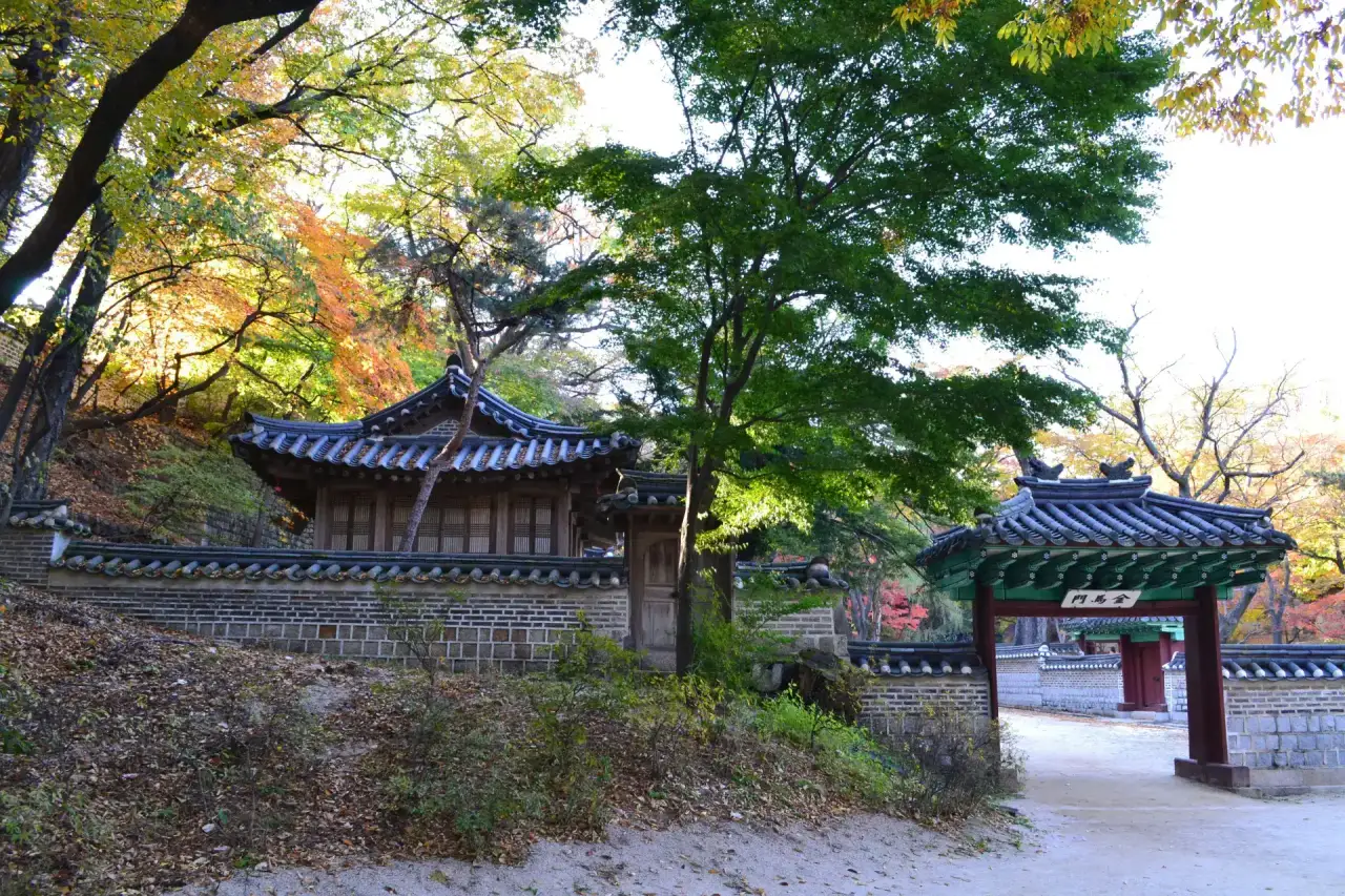 Changdeokgung Palace & Secret Garden Tour