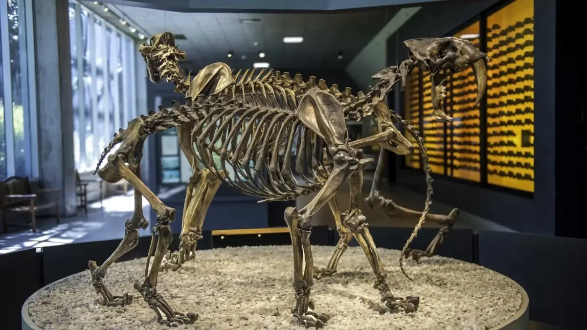 La Brea Tar Pits & Museum