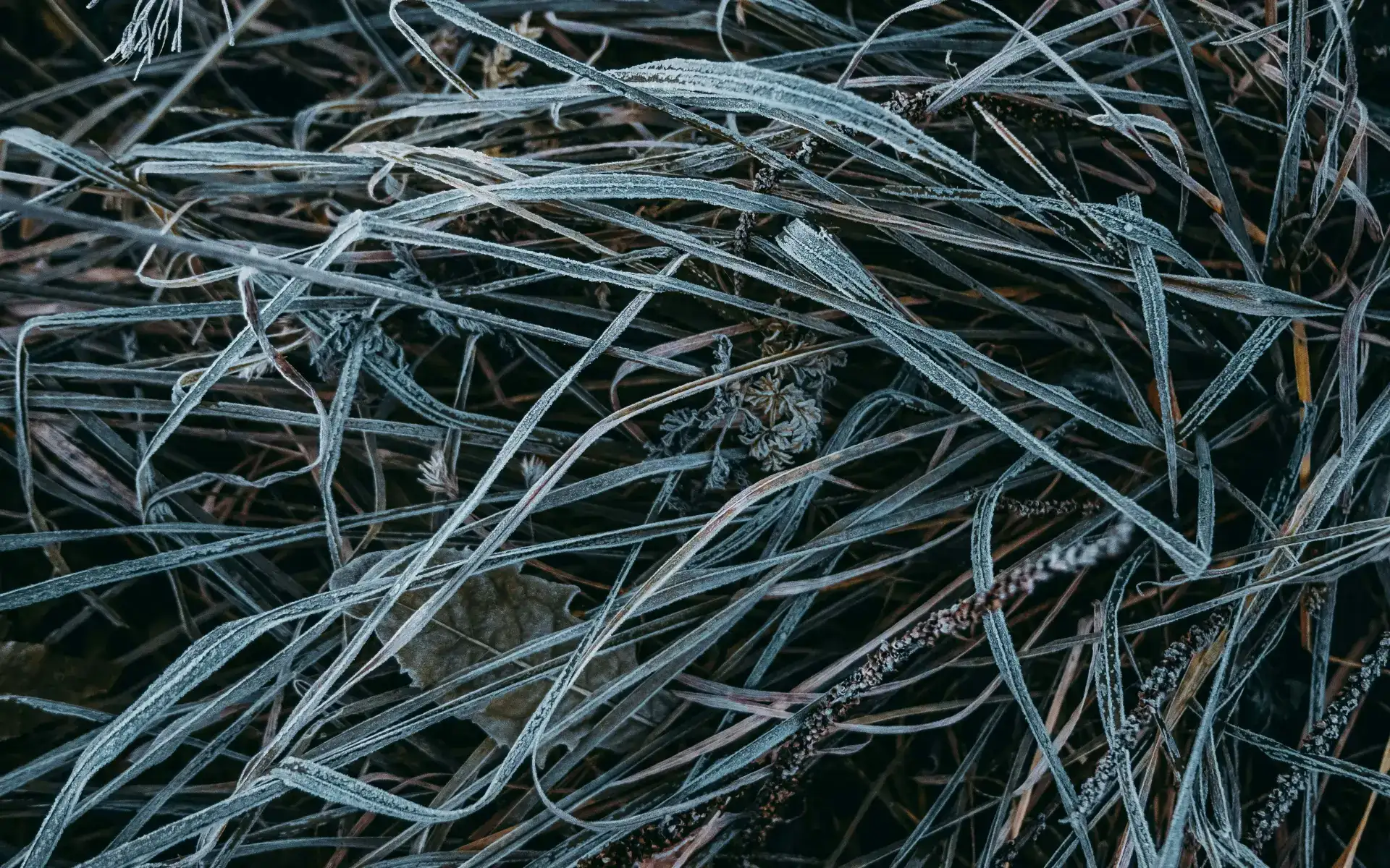 EPIC The Irish Emigration Museum