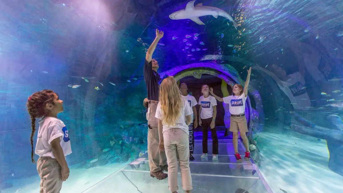 SEA LIFE Orlando Aquarium