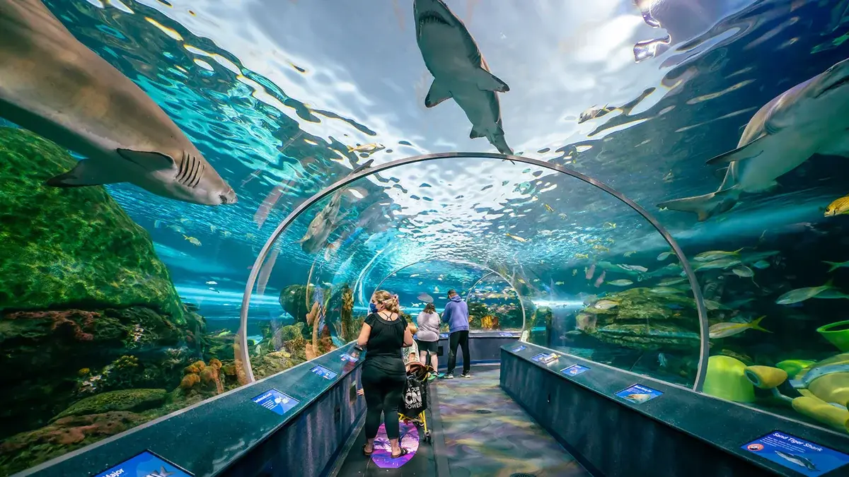 Ripley’s Aquarium of Canada