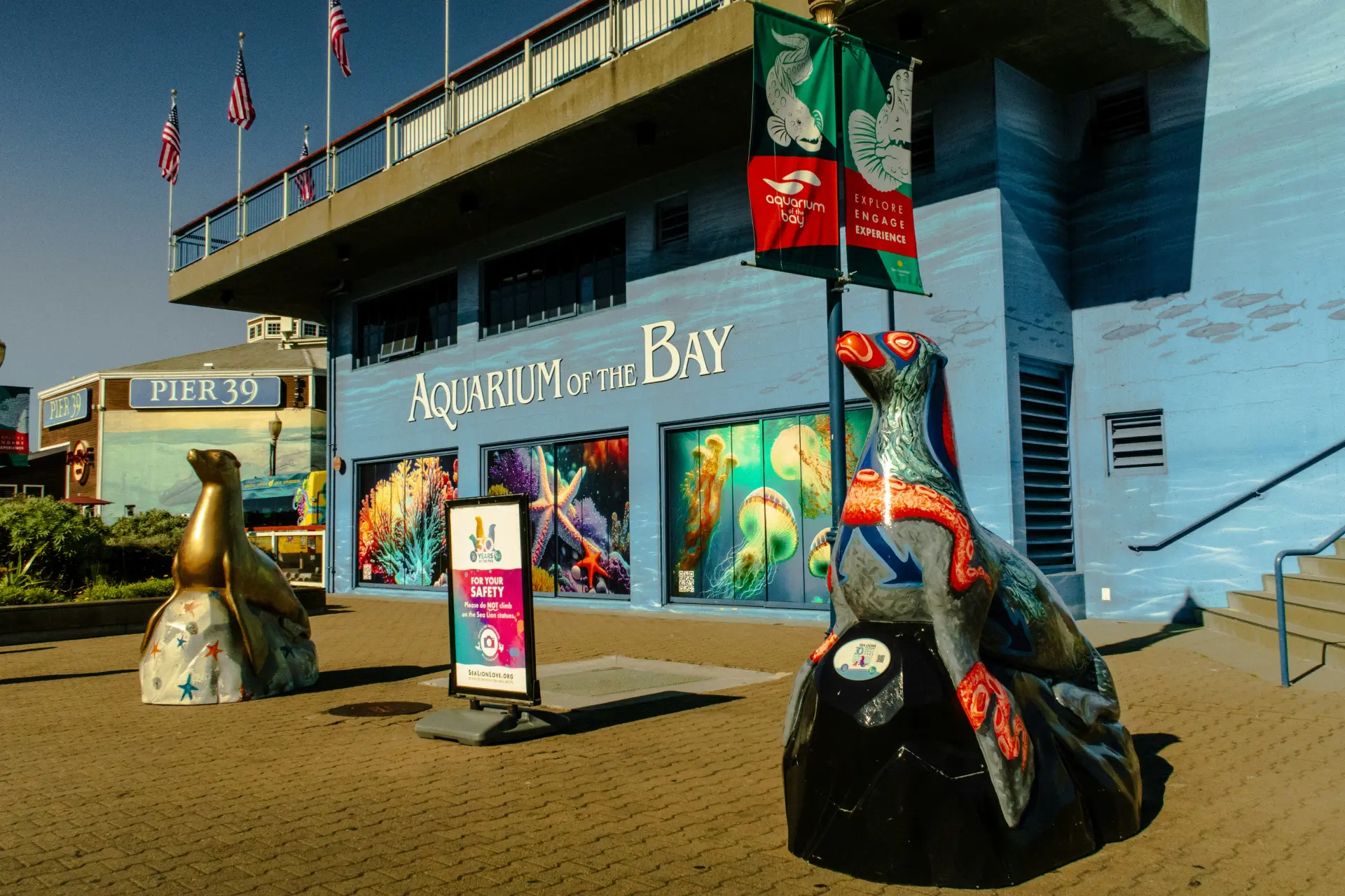 Aquarium of the Bay
