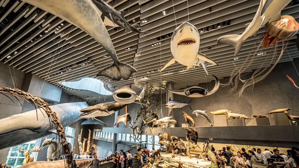 Shanghai Natural History Museum