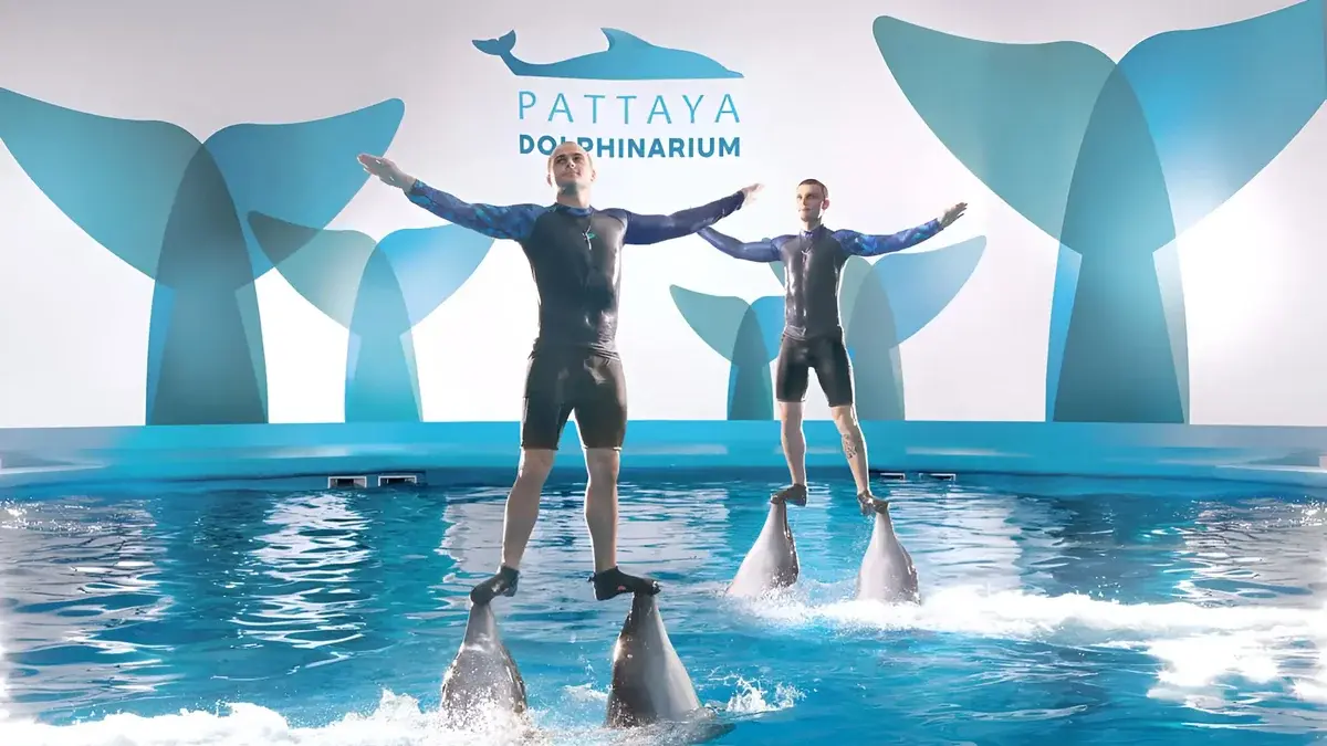 Pattaya Dolphinarium