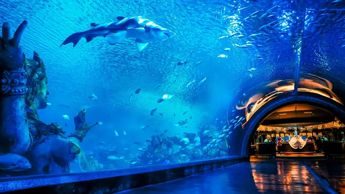 Phuket Aquarium