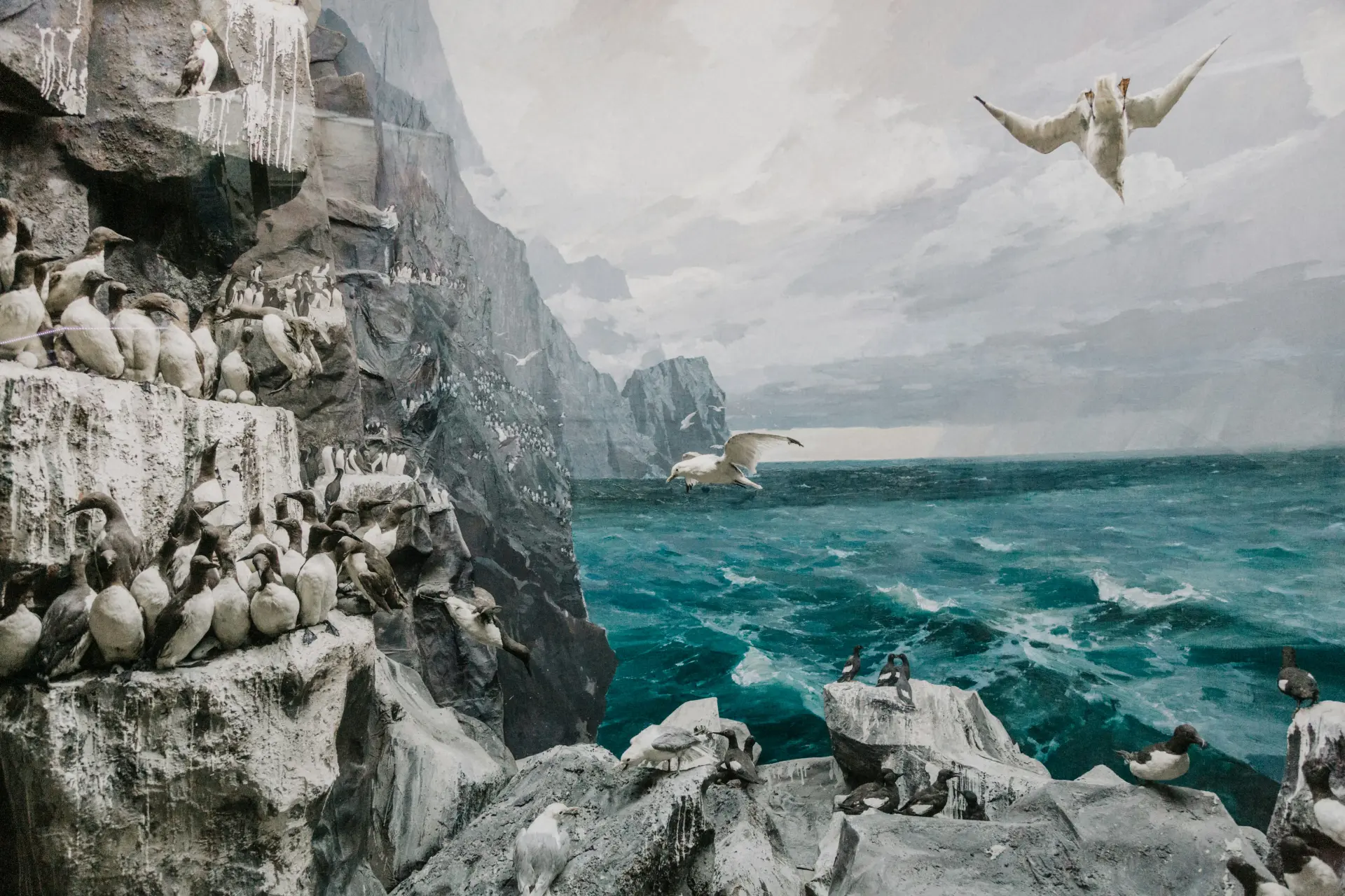 Museum of Natural Sciences