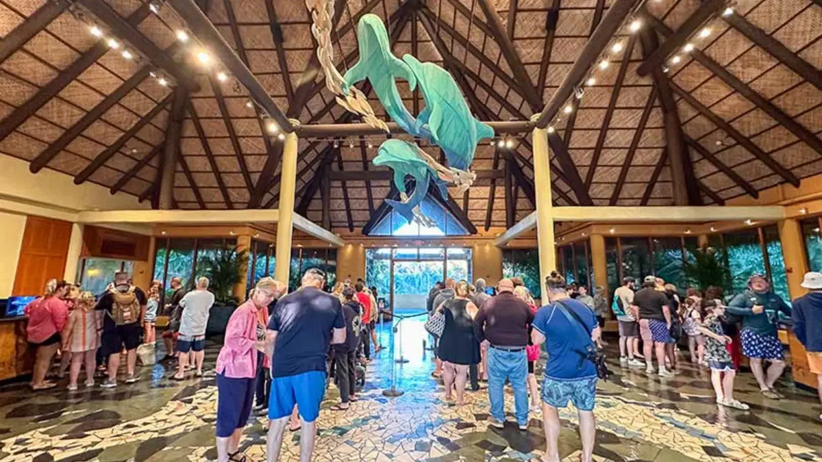 Discovery Cove Orlando